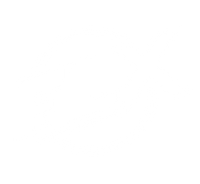 FLX