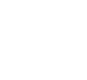 FLX